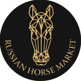 RUSSIAN HORSE MARKET | РОССИЙСКИЙ КОННЫЙ РЫНОК