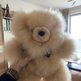 Русские в Германии - полезное