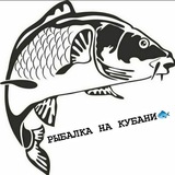 РЫБАЛКА НА КУБАНИ🐟