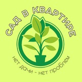 Сад в квартире | Комнатные растения и цветы