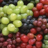Сад и виноградник для всех