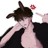 НеСэкки