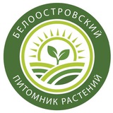 Белоостровский питомник - Консультации и поддержка