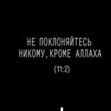 Блокнот саляфита
