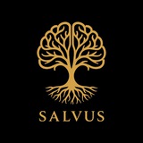 Salvus channel