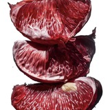 SANGUICES
