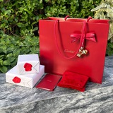 Sasjewels