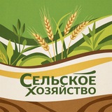 Торговая площадка Сельского Хозяйства
