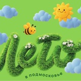 Чат с жителями Селятино