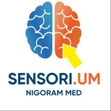 Sensori•Um «Нигорам мед» реабилитационный детский центр)