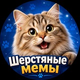 Шерстяные мемы