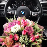 Shik_64
