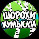 Шорохи Кумыски