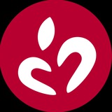 Семья