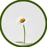 Искусство простоты