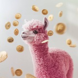 SKIDKOLOGIYA 🦙 РУБЛИ ЗА ОТЗЫВ | кэшбэк | товар за отзыв | скидки | акции | ошибки цен | Реклама товаров | ОЗОН | ГЛЮКИ ЦЕН | ПРО