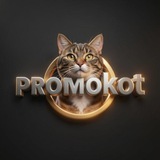 Skidochnyi_chat