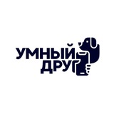 Умный Друг | Дрессировка собак