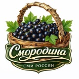 Смородина | СМИ России