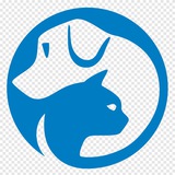 🦮 СОБАКА | 🐈 КОШКА | МОЙ ПИТОМЕЦ