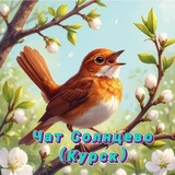 Чат Солнцево (Курск)