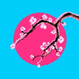 Pixel+