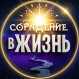 Сорадение - в жизнь!