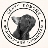 Французский бульдог. Центр помощи французским бульдогам frenchbull_help