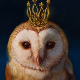 СОВА на ФРИЛАНСЕ 🦉