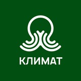 Климат