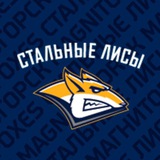МХК «Стальные Лисы»