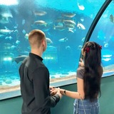 Стёпочка
