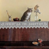 Питерский эскорт