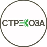 СТРЕКОЗА | СЕМЕЙНЫЙ ГИПЕРМАРКЕТ | ИРКУТСК