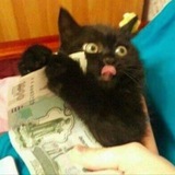 Ну такое