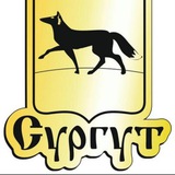 Сургут Объявления