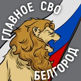 Главный чат в Белгороде и области