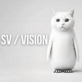 SV / VISION