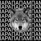 Телега Волка 🐺