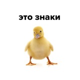 это знаки