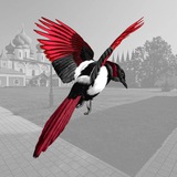 Тихвинская сорока