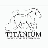 Libontova 🍀 Titanium Stud Farm