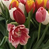 Законы счастливой жизни