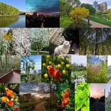 Тропарево-Никулино Соседи