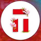 Тульская Пресса