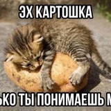 палочка твикс чоотт