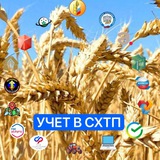 УЧЕТ В СХТП