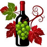 Школа начинающего виноградаря! 🍇🍓🍷