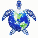 География и факты