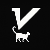 v2RayTun | VPN | Vless